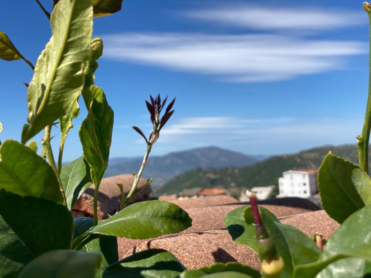 Canduleri Orgosolo Bagian luar foto
